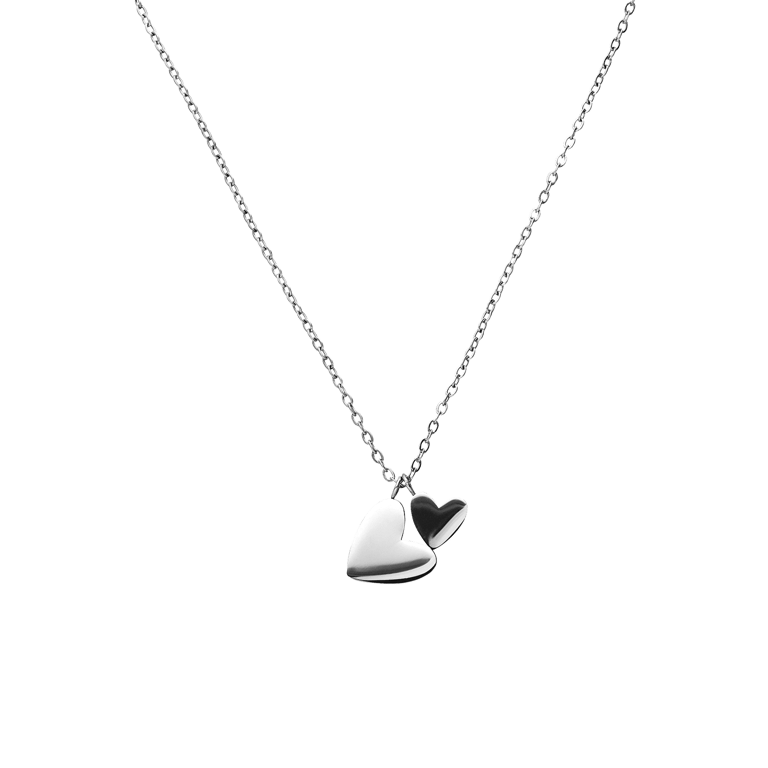 Stainless steel ketting met 2 hartjes voor dames