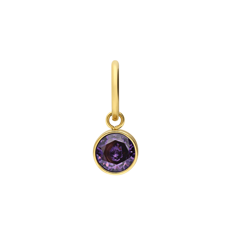 Stalen goldplated hanger geboortesteen februari met zirkonia voor dames