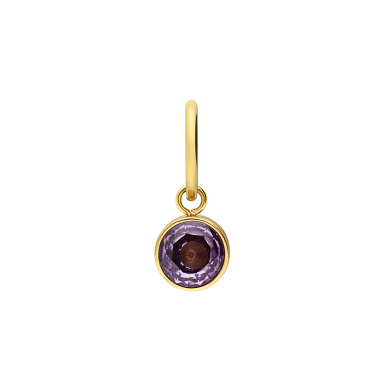 Stalen goldplated hanger geboortesteen juni met zirkonia voor dames