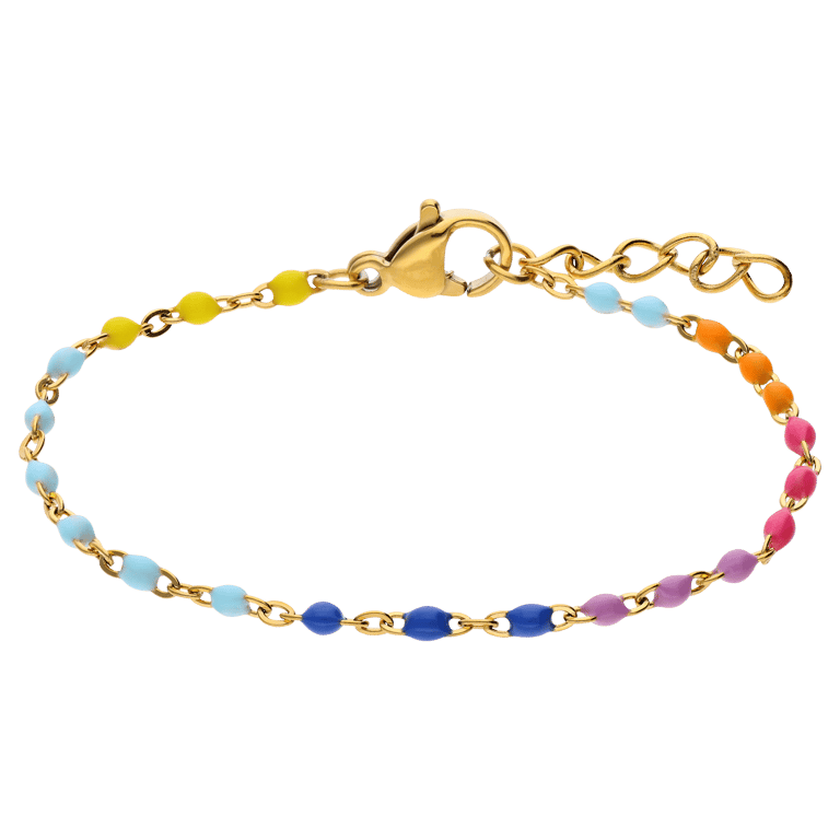 Stalen goldplated armband met multi emaille