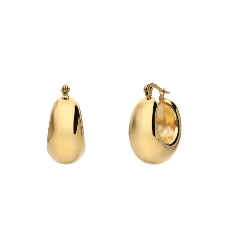 Stainless steel goldplated oorringen