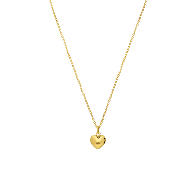 Zilveren goldplated ketting met hanger voor dames