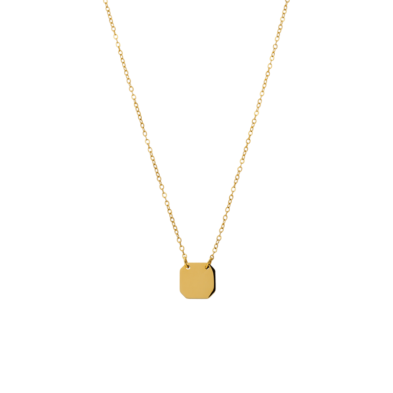 Stainless steel goldplated ketting met hanger voor dames