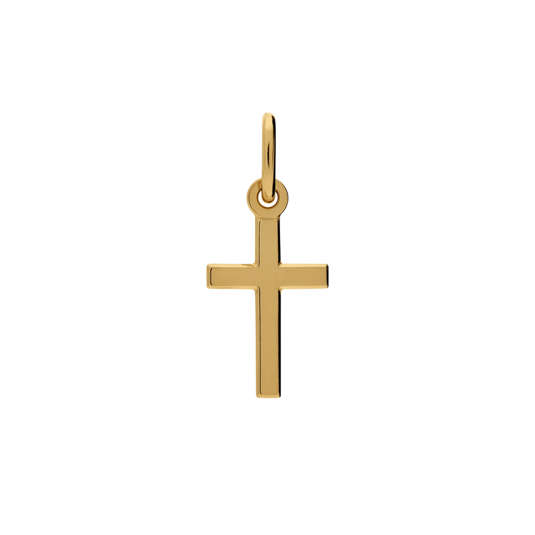 Zilveren goldplated hanger voor dames