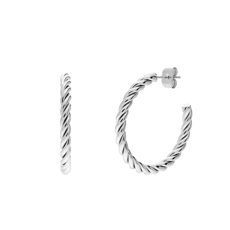 Stainless steel oorringen voor dames