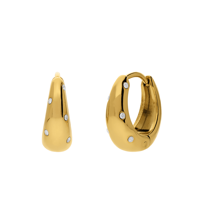 Stainless steel oorringen met kristal voor dames