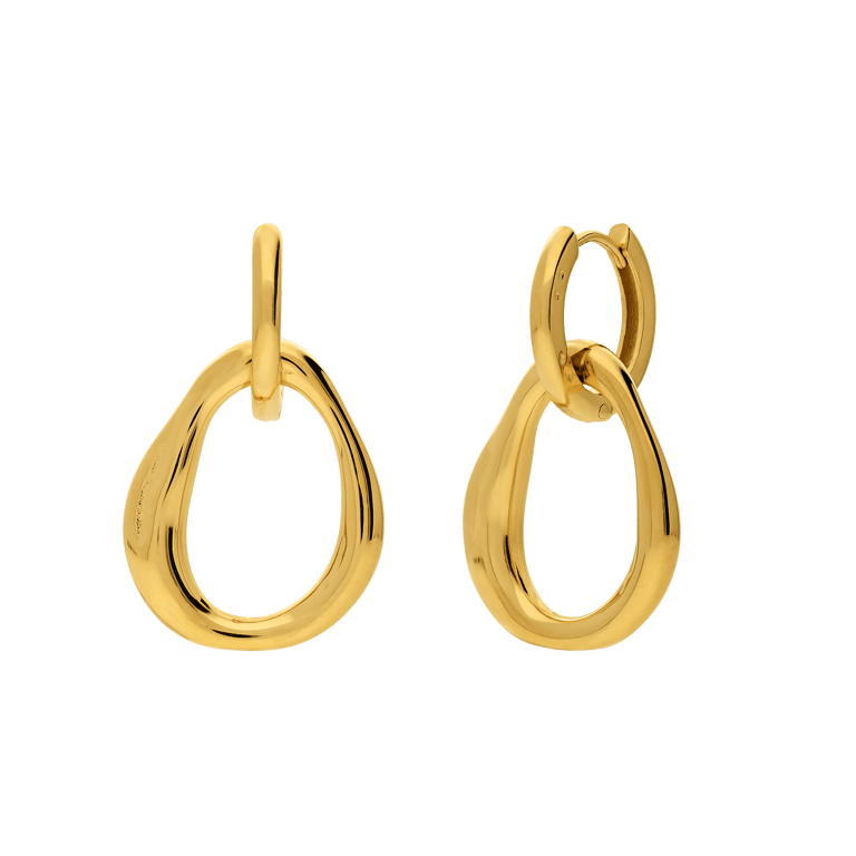 Stainless steel oorringen voor dames
