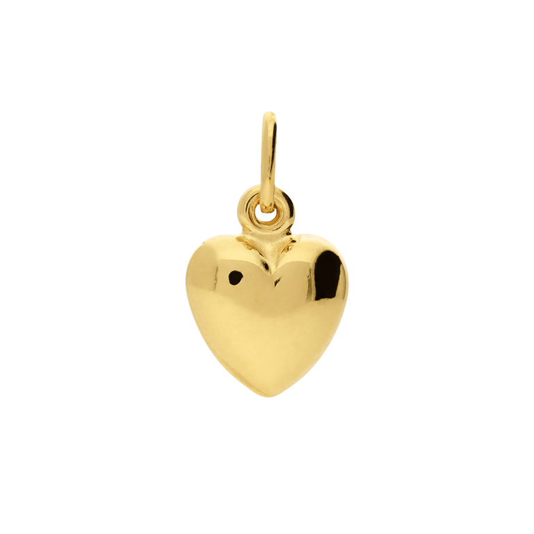 Zilveren goldplated hanger voor dames