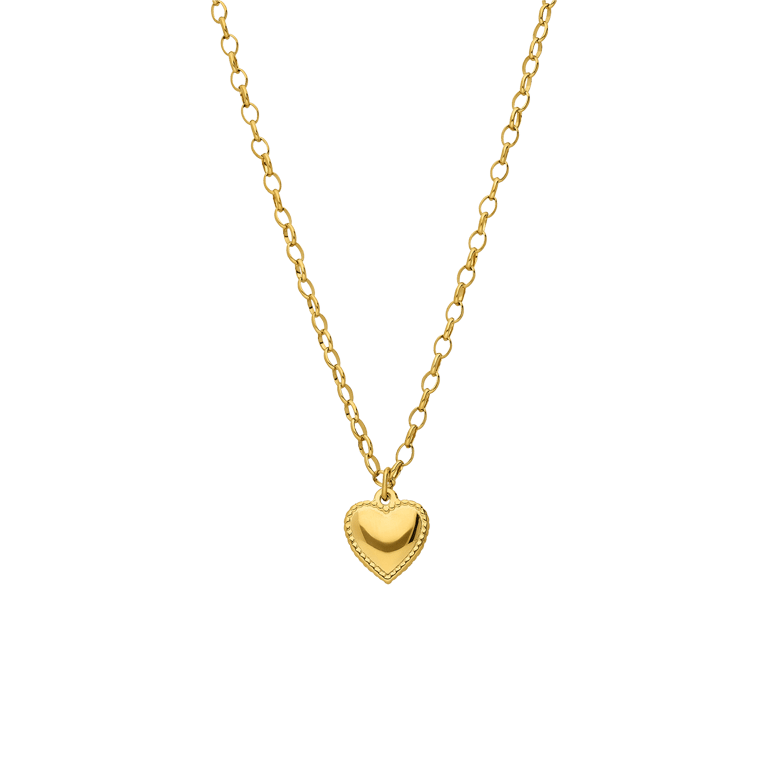 Stainless steel goldplated ketting hart