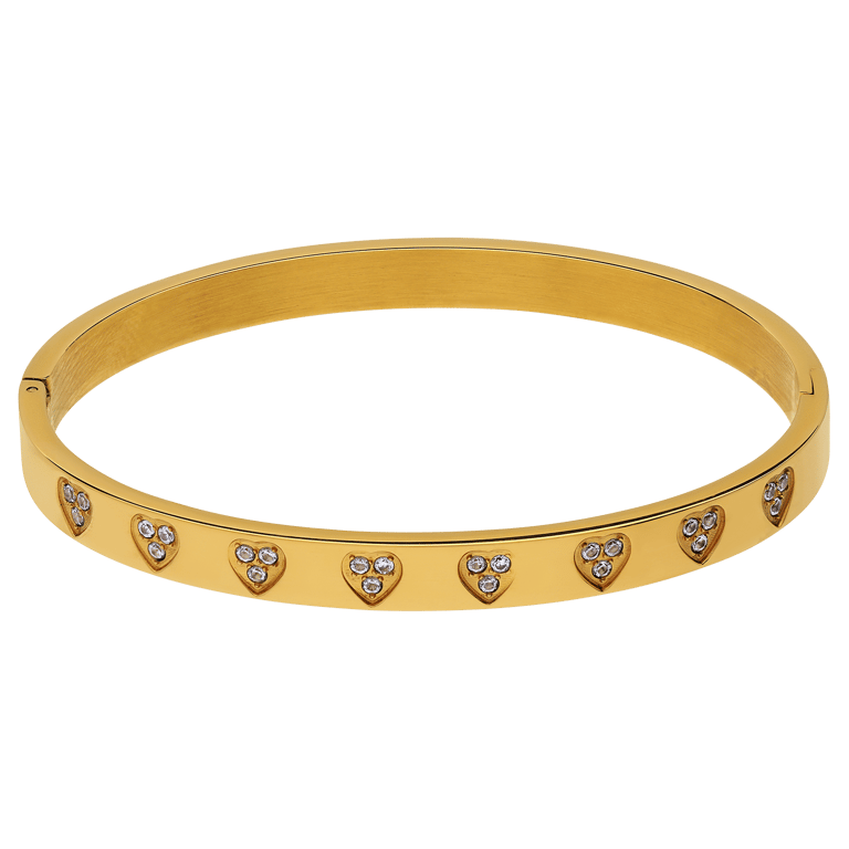 Stainless steel bangle harten zirkonia