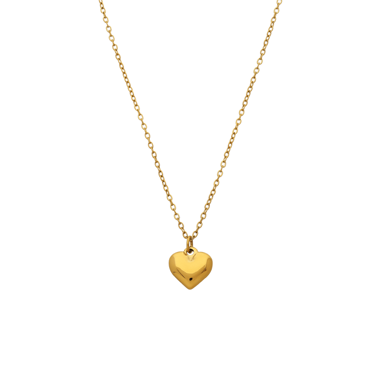 Stainless steel ketting met hanger voor dames