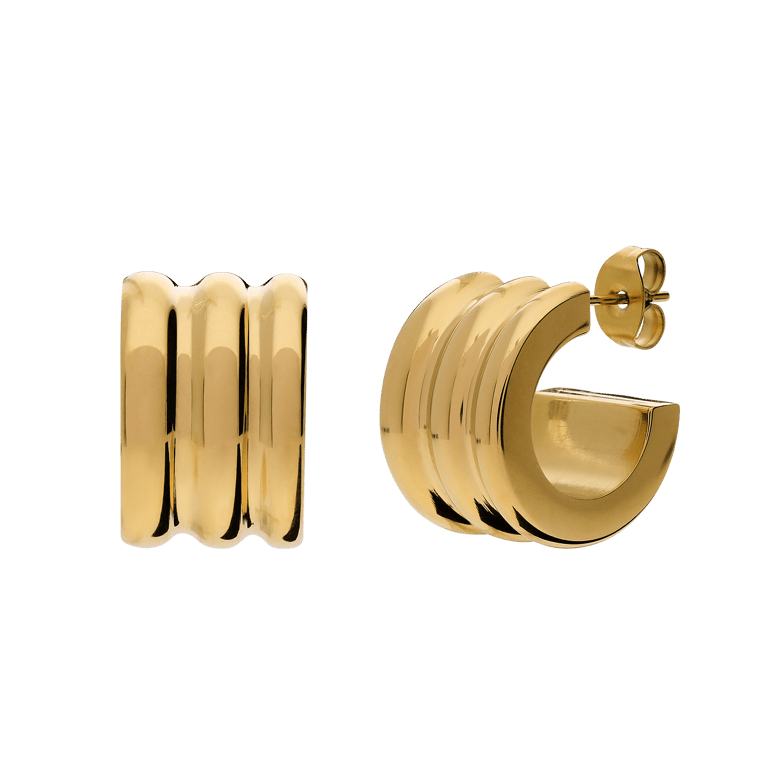 Stainless steel oorringen voor dames
