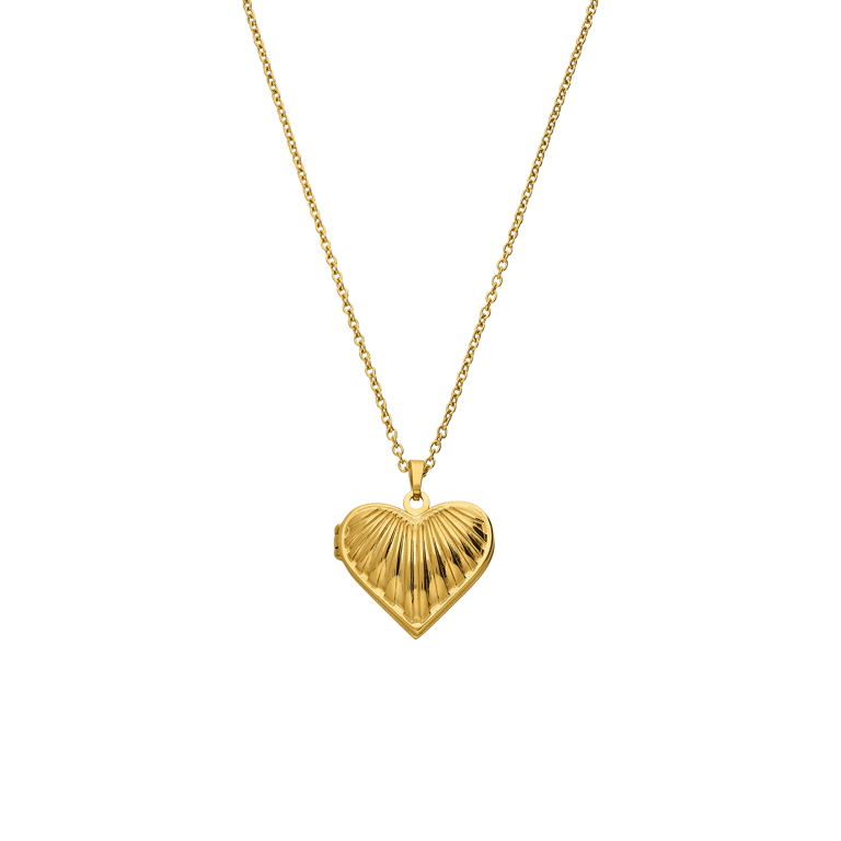 Stainless steel damesketting met medaillon hart