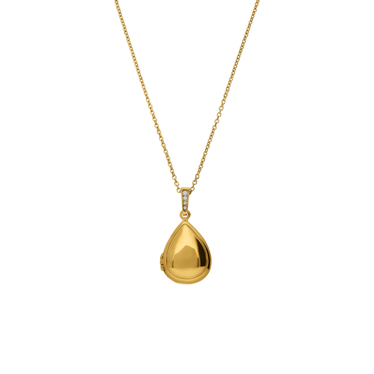 Stainless steel ketting met hanger medaillon met zirkonia voor dames