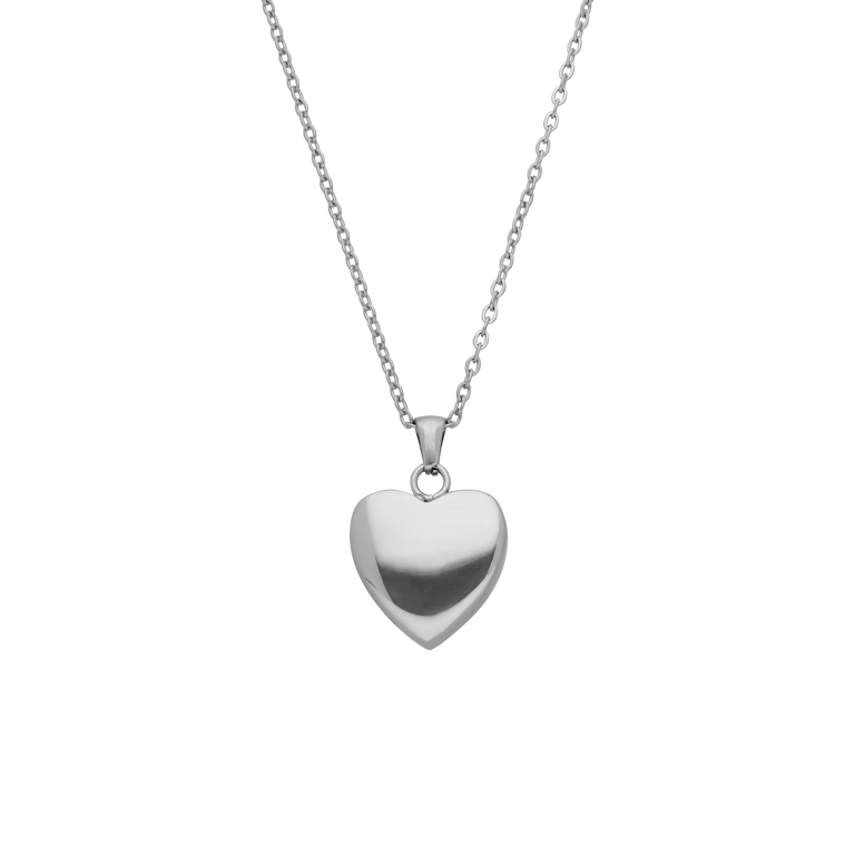 Stainless steel ketting met ashanger hart voor dames