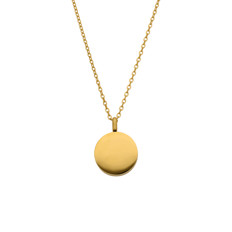 Stainless steel goldplated ketting met hanger ashanger