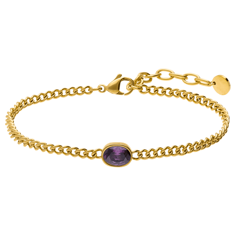 Stainless steel armband met geboortesteen zirkonia voor dames