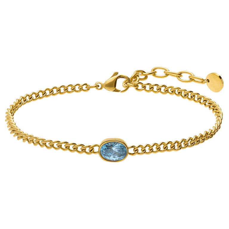 Stainless steel armband met geboortesteen zirkonia voor dames