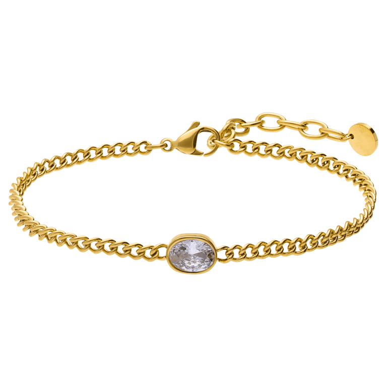 Stainless steel armband met geboortesteen zirkonia voor dames