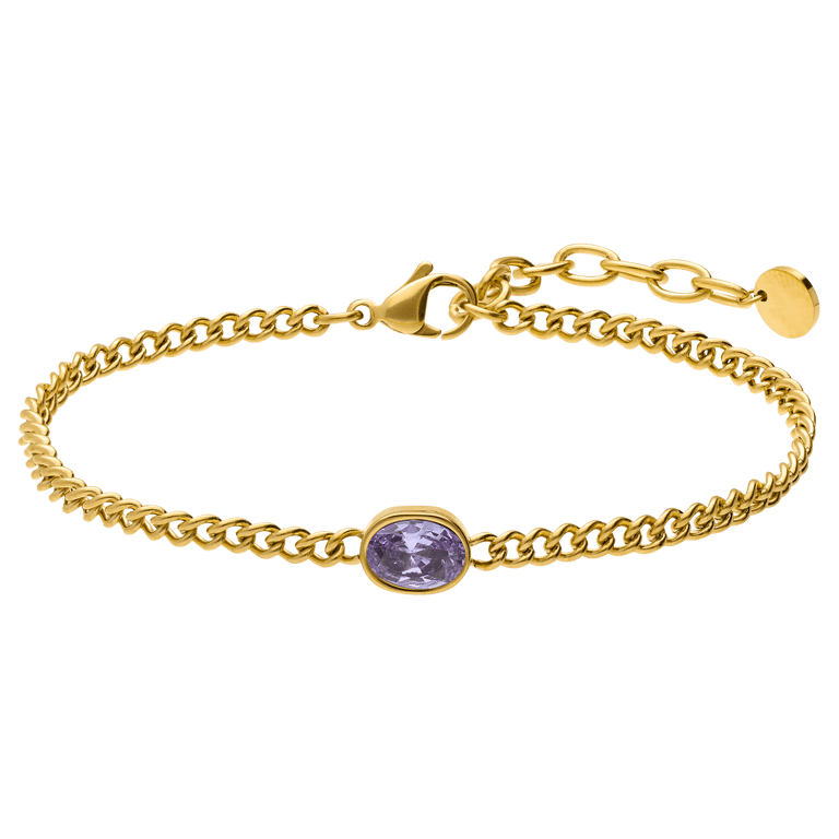 Stainless steel armband met geboortesteen zirkonia voor dames