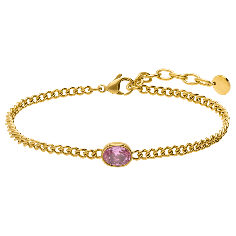 Stainless steel armband met geboortesteen zirkonia voor dames