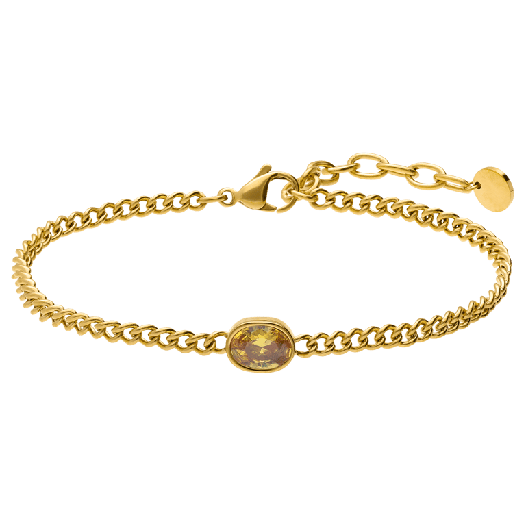 Stainless steel armband met geboortesteen zirkonia voor dames