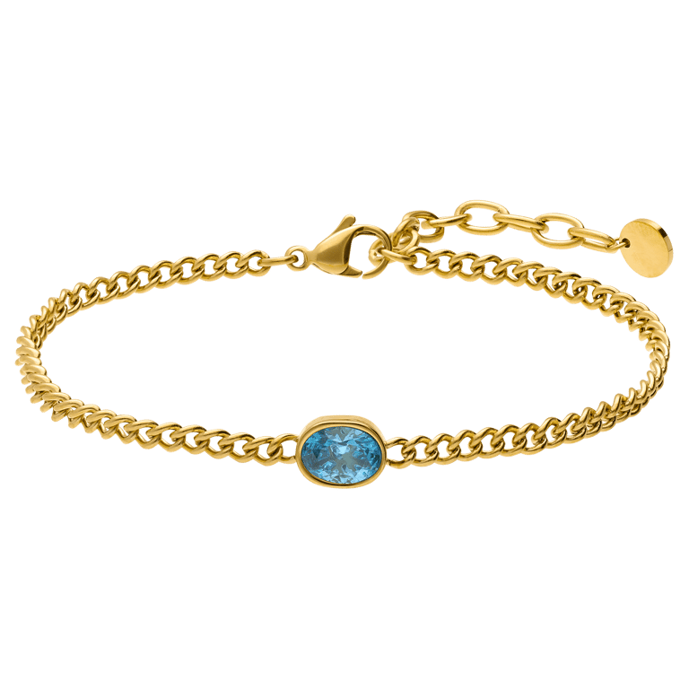 Stainless steel armband met geboortesteen zirkonia voor dames