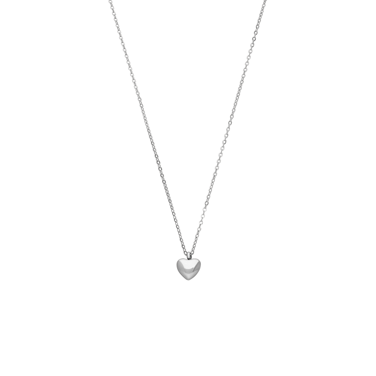 Stainless steel ketting met hanger hart voor dames