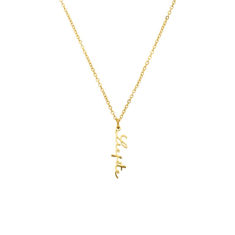 Stainless steel goldplated naamketting met hanger voor dames