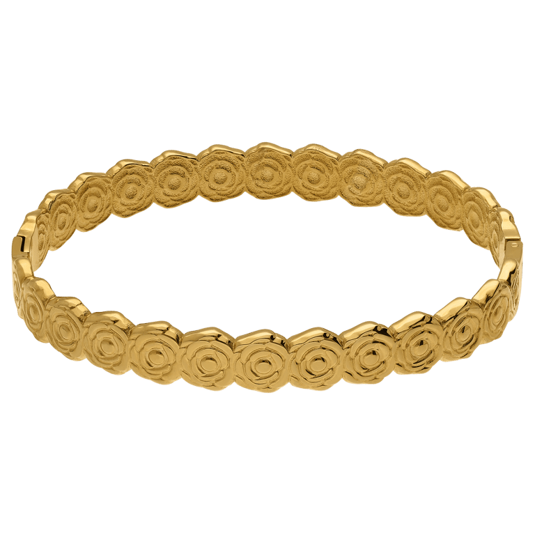 Stainless steel goldplated bangle voor dames