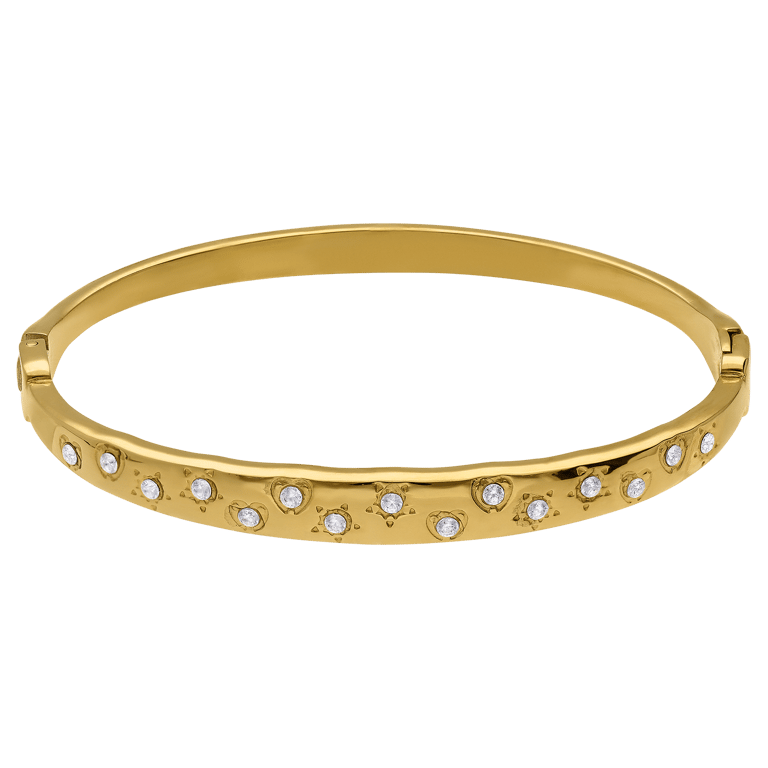 Stainless steel goldplated bangle met kristal voor dames