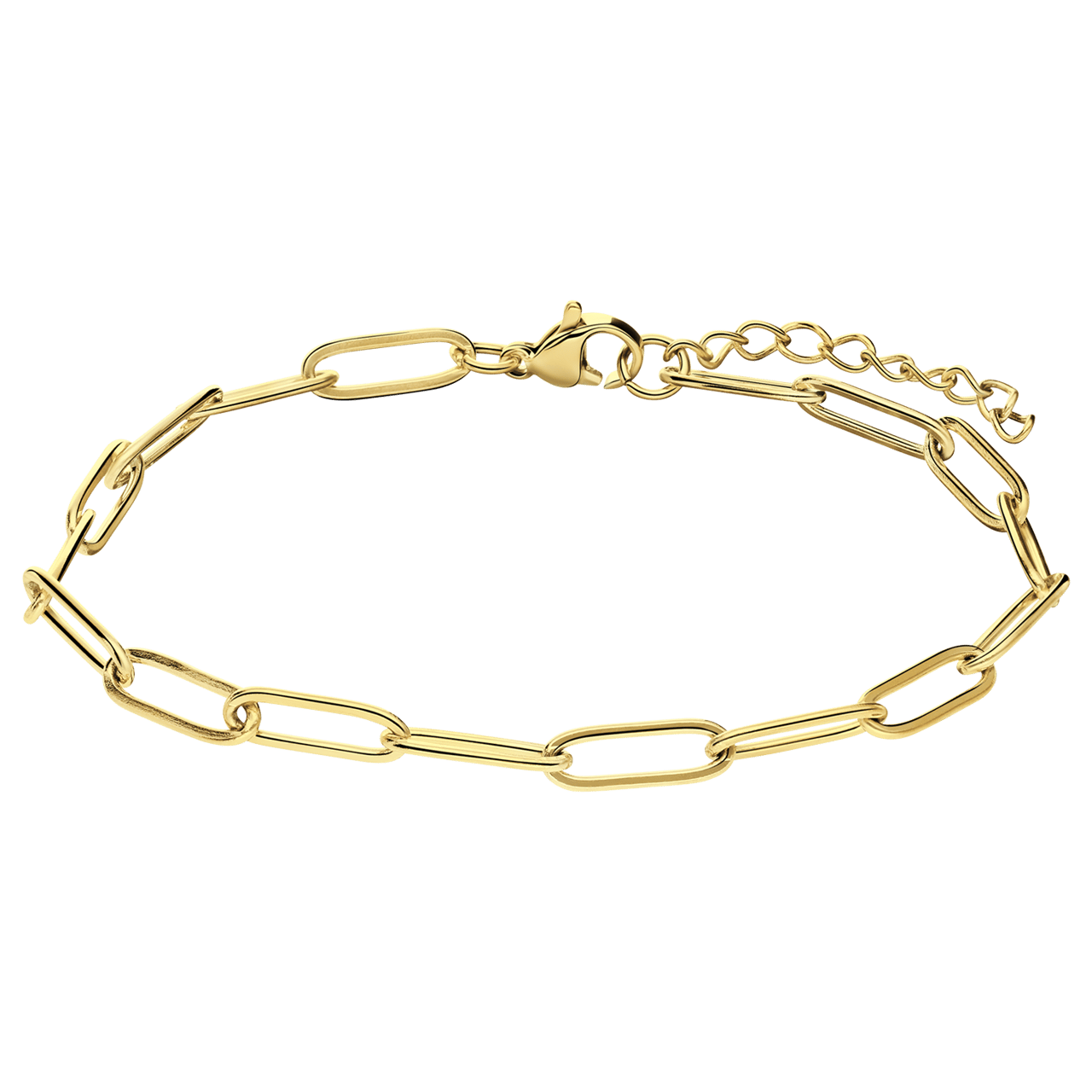 Stalen Goldplated Armband Closed Forever Mm Lucardi Nl