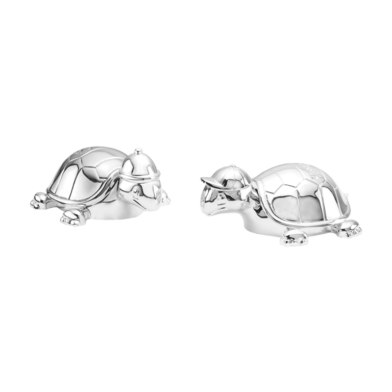 Zahndose und Lockendose Schildkröte