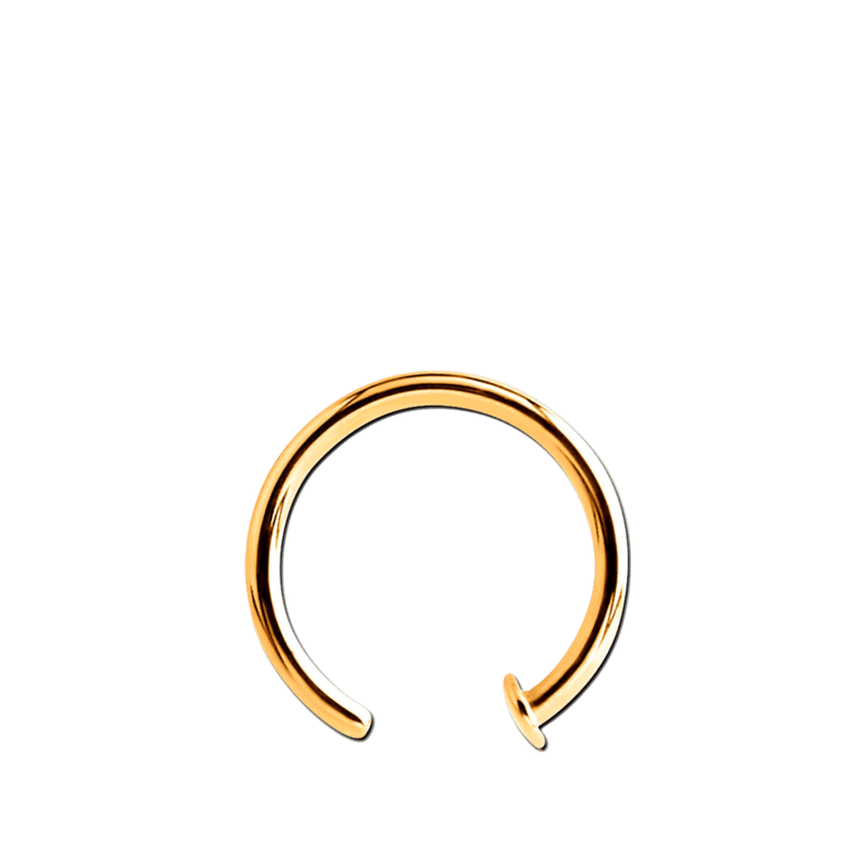 Stalen neuspiercing goldplated ring