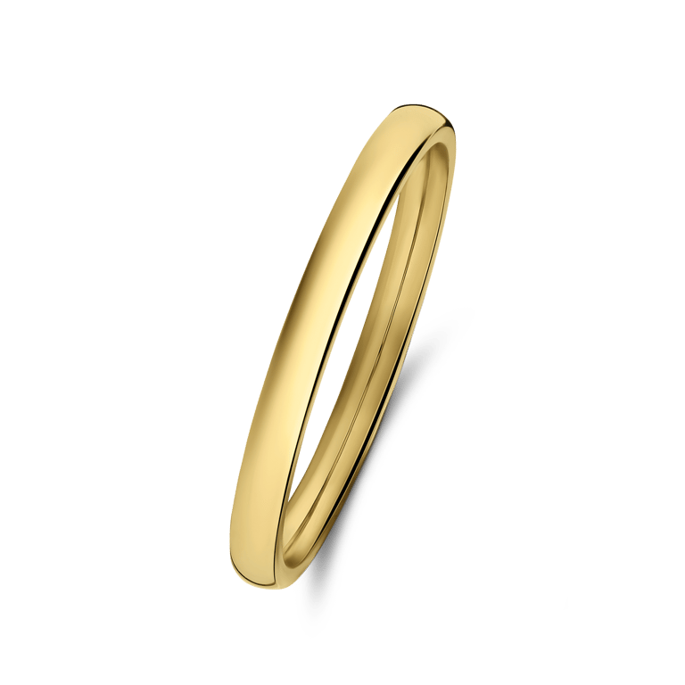 Stalen goldplated ring 2mm