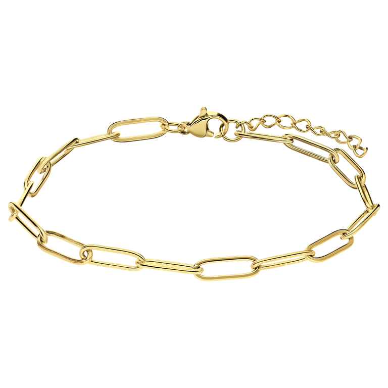 Stalen goldplated armband closed forever 4mm