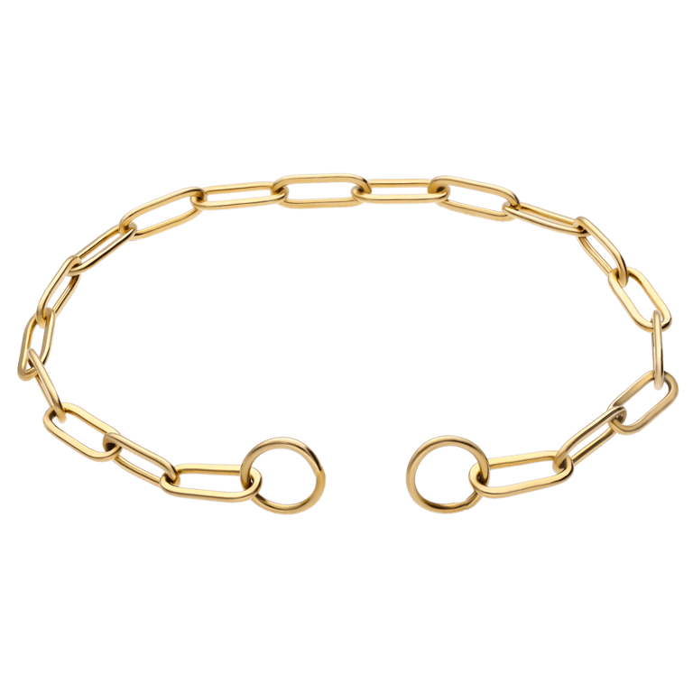 Stalen goldplated charm armband closed forever